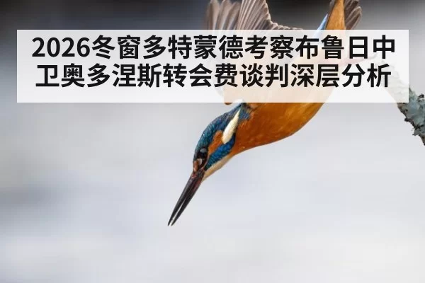 2026冬窗多特蒙德考察布鲁日中卫奥多涅斯转会费谈判深层分析
